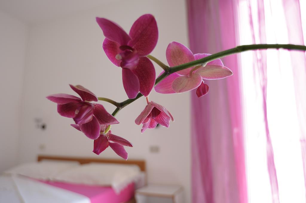 Solemare Hotel E Residence มิซาโน อาดรีอาติโก ภายนอก รูปภาพ